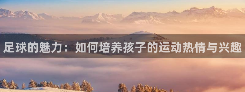 J9官网下载平台假的吗是真的吗:足球的魅力:如何培养孩子的运